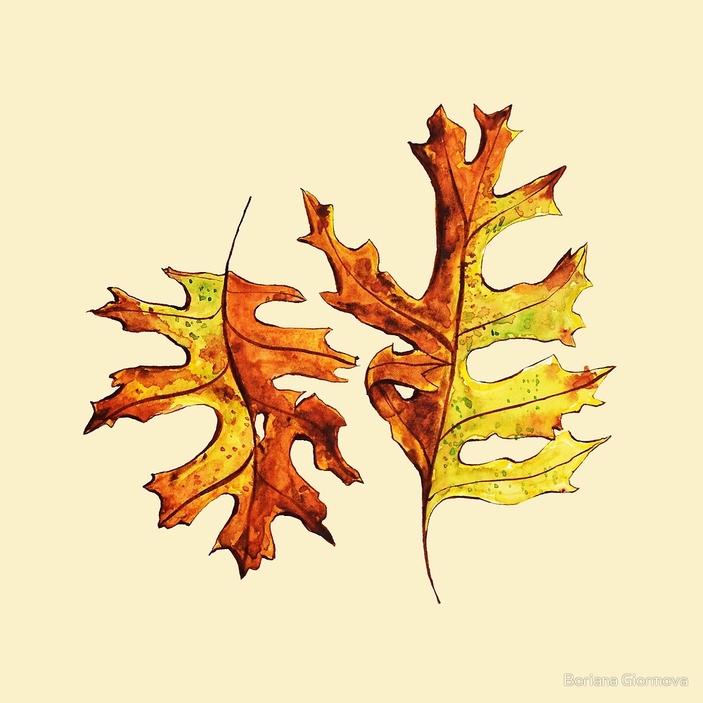 Watercolor and ink illustration of two pin oak leaves