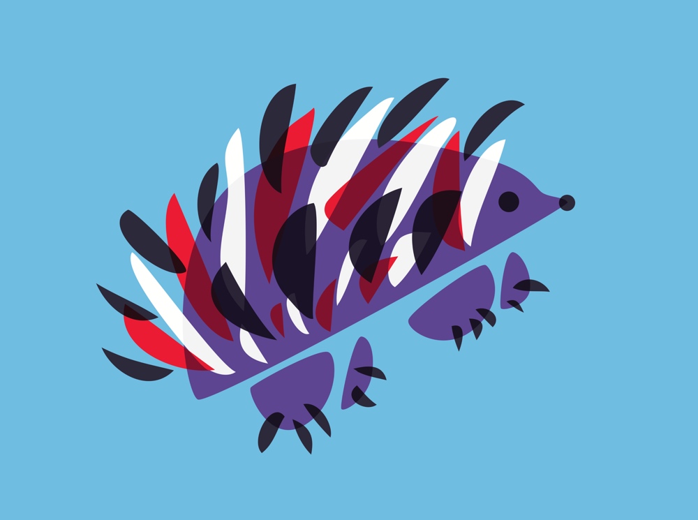 Hedgehog art - colorful abstract illustration