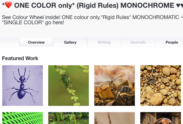 Purple ant featured in group