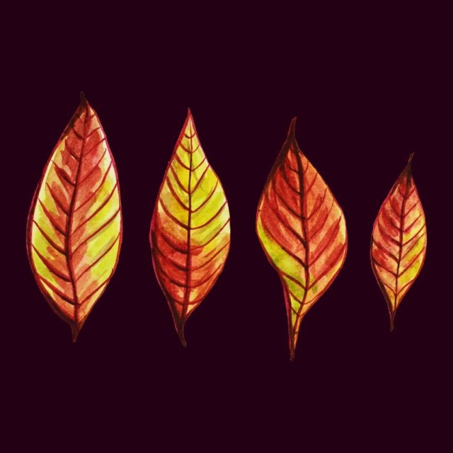 Fun autumn leaves art with four red and yellow leaves
