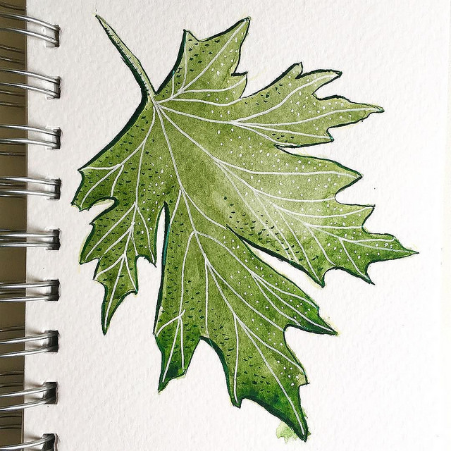 Drawing of a green leaf with white ink veins and dots