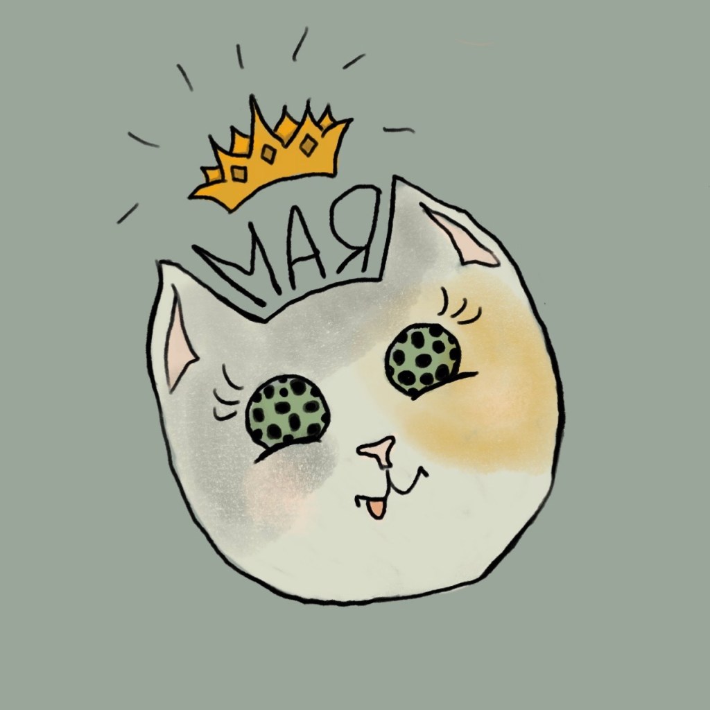 Quick cat face drawing done in Procreate - white fat cat with crown